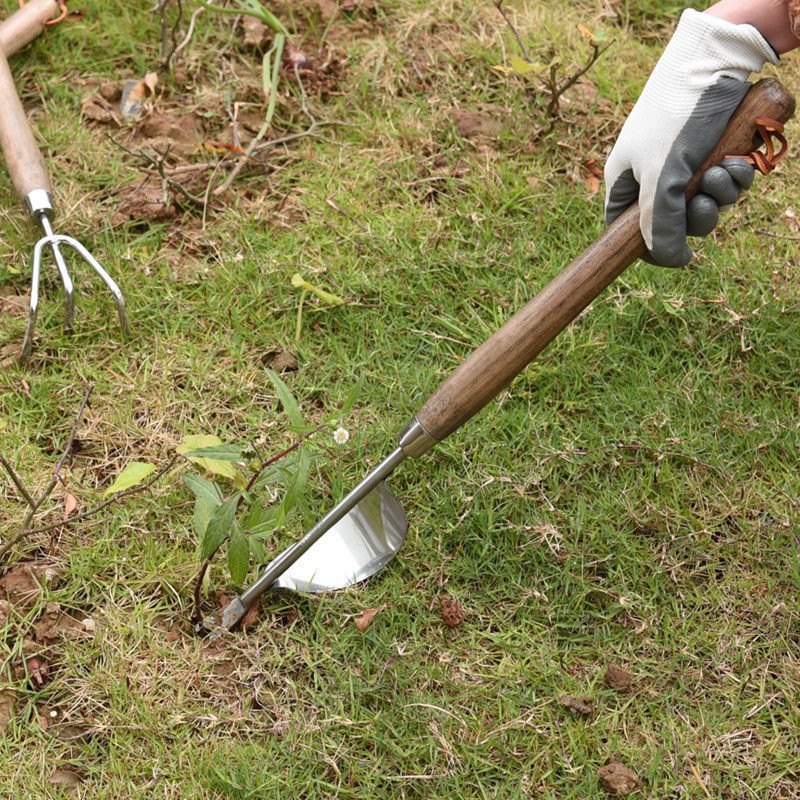 product-500-500 Long Handled Daisy