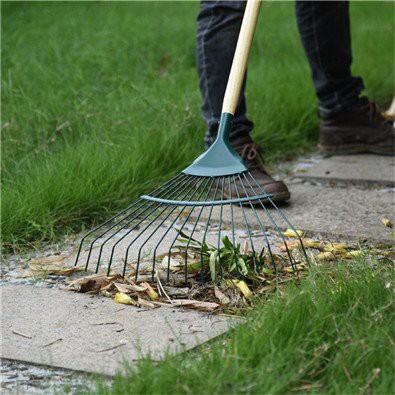 16 tooth Steel Tine Leaf Rake scene