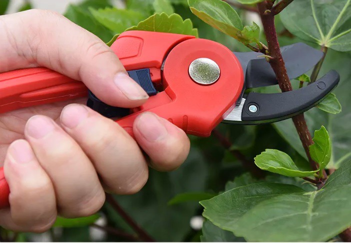 Anvil pruner scene Anvil pruner scene