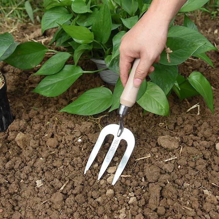 Garden Hand Fork Stainless Steel