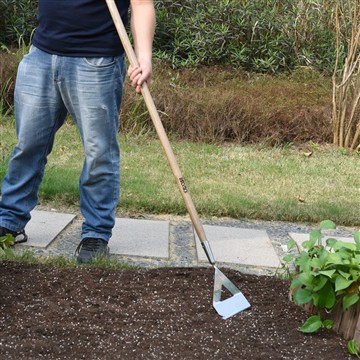 سبزیوں کا باغ شروع کرنے کے فوائد