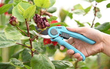 طاقت اور ہاتھ کاٹنے کے آلے کے پیشہ