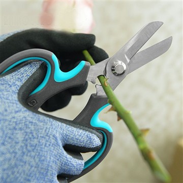 پھولوں کا باغ شروع کرنا