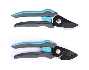 بائی پاس پرونر اور اینول پرونر میں کیا فرق ہے؟