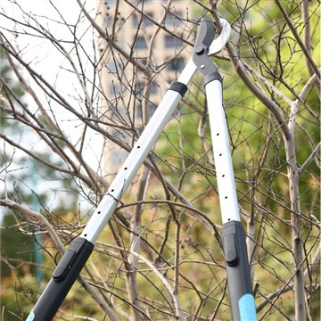 کٹائی اور تراشنا: مائی فیملی گارڈے کی دیکھ بھال