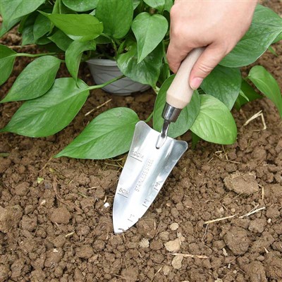 باغ لگانے کی ڈائری -1