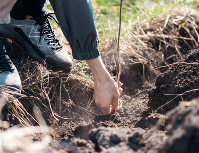 جڑوں کے ذریعے کھودنے کے چنچل اقدامات