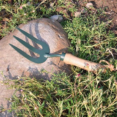 گارڈن ٹولز کی روزمرہ کی مہم جوئی