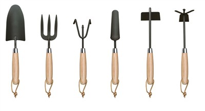 گھر میں ٹماٹر لگانا