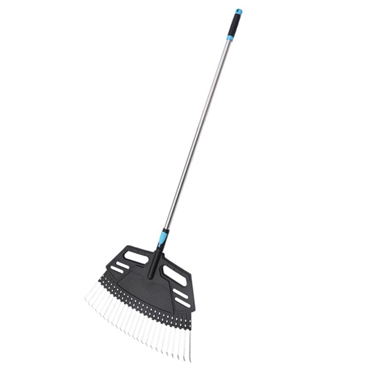 بڑی لیف ریک