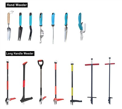 سبز کاشت کرنا: اپنے باغ میں پائیداری کو اپنانا