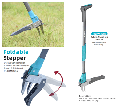 دنیا بھر میں وسط خزاں کا تہوار منانا: روایت اور باغ کے اوزار کی ہم آہنگی