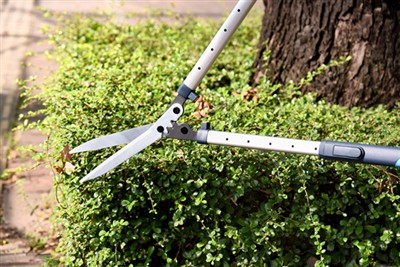 حتمی ہیج شیئر کیئر گائیڈ: ٹول لائف کو بڑھاؤ اور کسٹمر کی وفاداری کو فروغ دیں