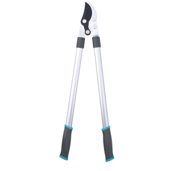 راچٹ گارڈن لوپرز